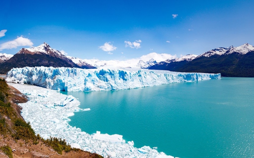 argentine