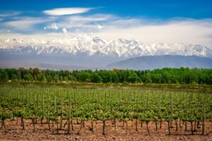 mendoza